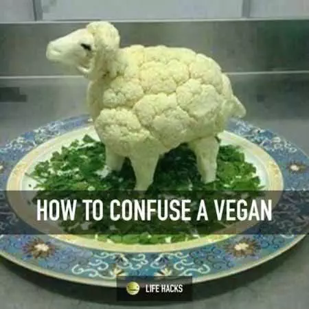 A Funny Image Of A Cauliflower Cut Into The Shape Of A Sheep Standing On A Bed Of Spinach Captioned How To Confuse A Vegan.