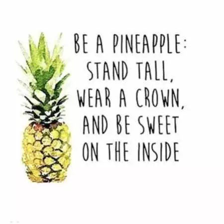Great Funny Quotes 0032