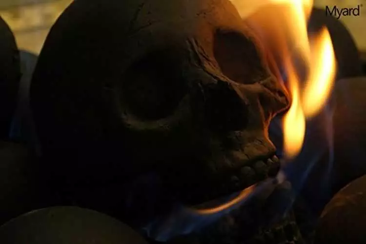 Myard Deluxe Human Skull Gas Logs 3004