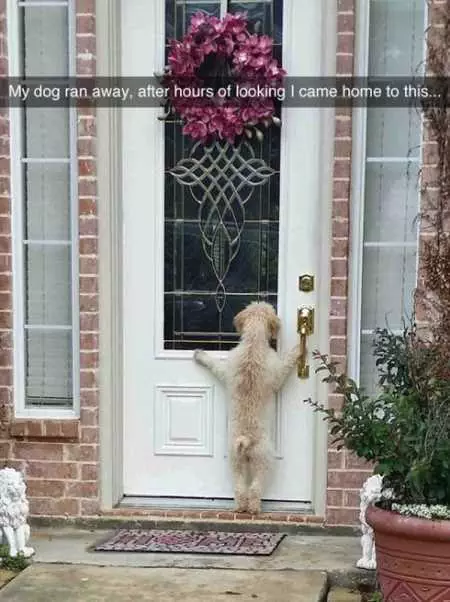 New Funny Animal Pictures Youre Going To Love 2007