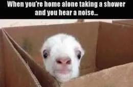 New Funny Pictures You'Re Going To Love 2037