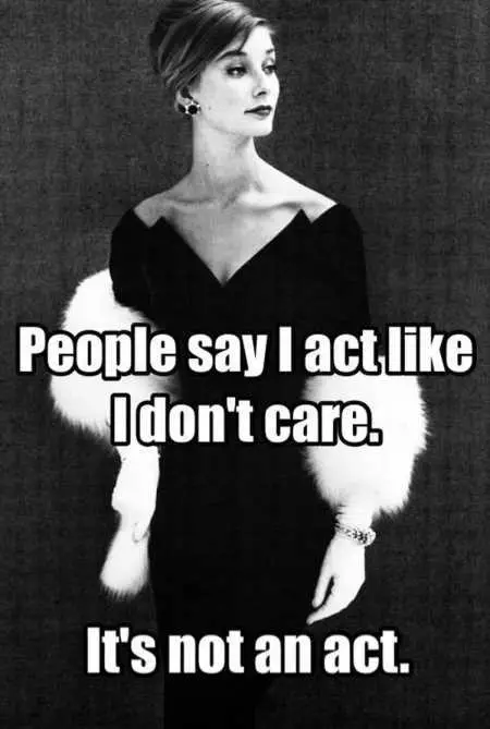 Pretty Hilarious Quotes 3011