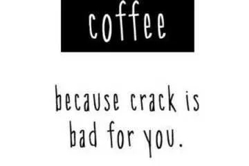 Pretty Hilarious Quotes