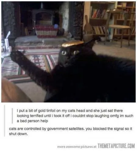 Really Funny Pictures 3020