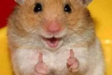 Absolutely Adorable And Funny Animals 427