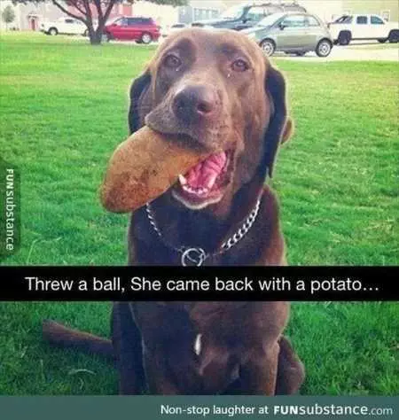 Absolutely Hilarious Animal Pictures 318