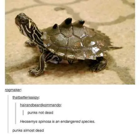 Funny Pics With Captions 104