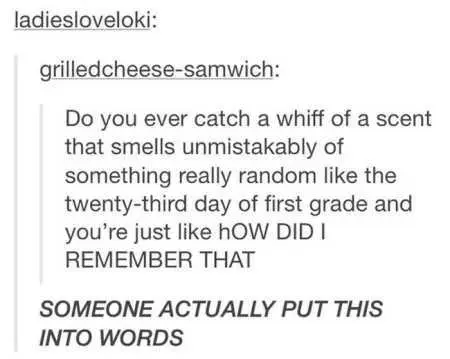 Funny Pics With Captions 112