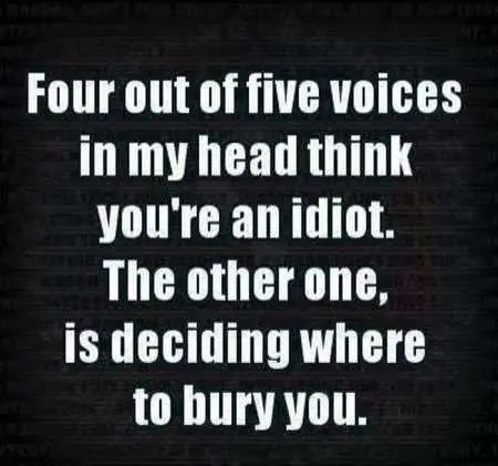 Funny Quotes And Sayings 423