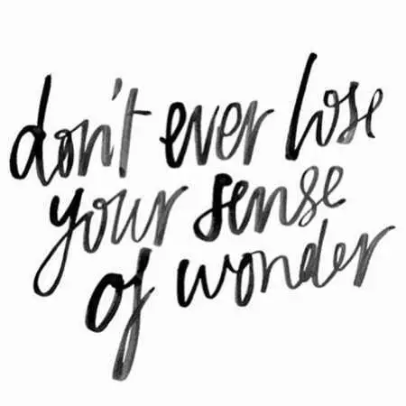 Inspirational Quotes About Life 529