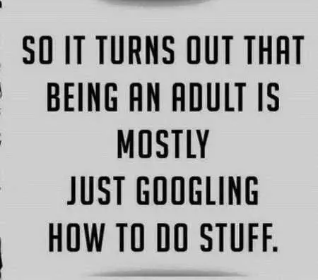 Funny Quotes And Sayings 517