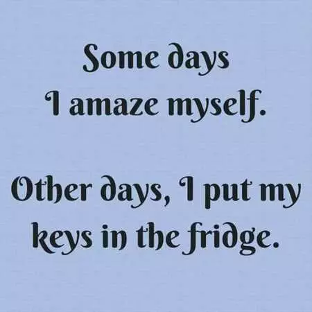 Funny Quotes And Sayings 531