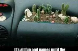 Hilarious Pictures 515