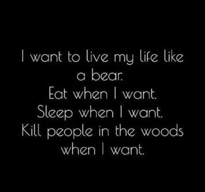Live Life Like A Bear Quote