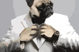 Pugfeatured
