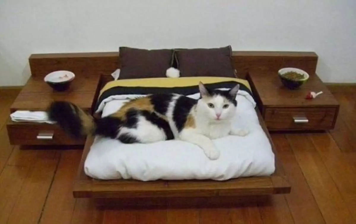 Cats Bed