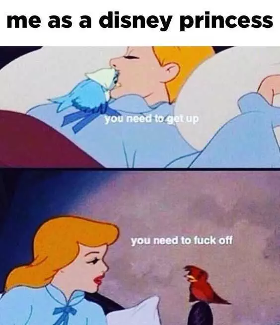 Disney Cinderellasleep