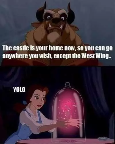 Disney Yolo
