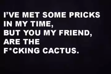 Funny Cactus