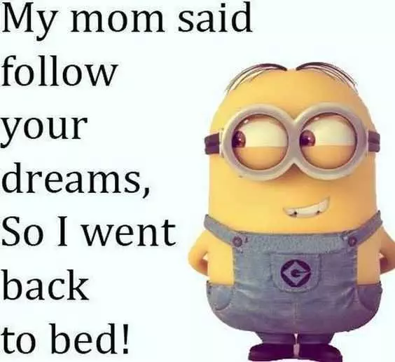 Minion Beds