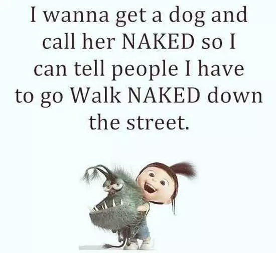 Minion Dog