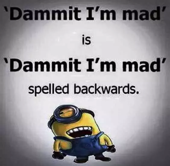 Minion Mad