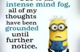 Minion Mindfog