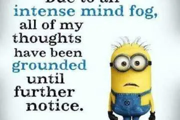 Minion Mindfog