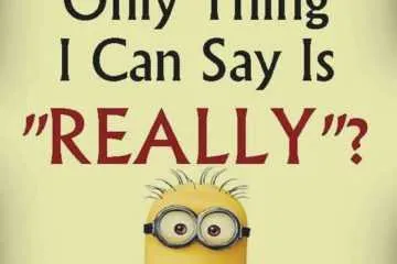 Minion Really