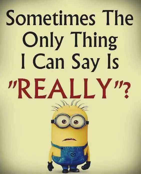 Minion Really
