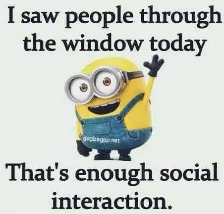 Minion Social