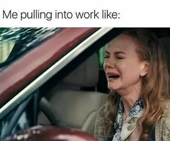 Nicole Kidman Crying In Car With Caption Me Pulling Into Work Like