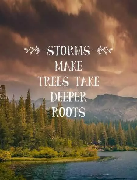 Quote Storms