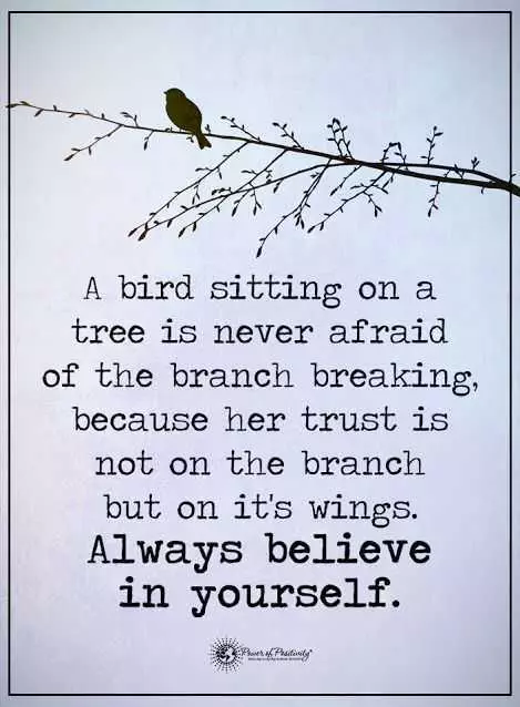 Quote Wings