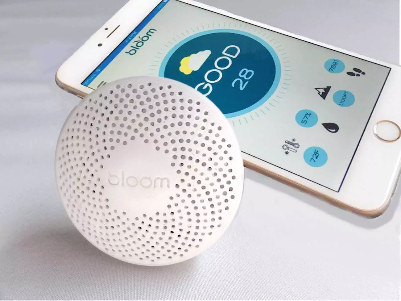 Bloom Portable Air Quality Monitor Lying Side By Side With A Smartphone
