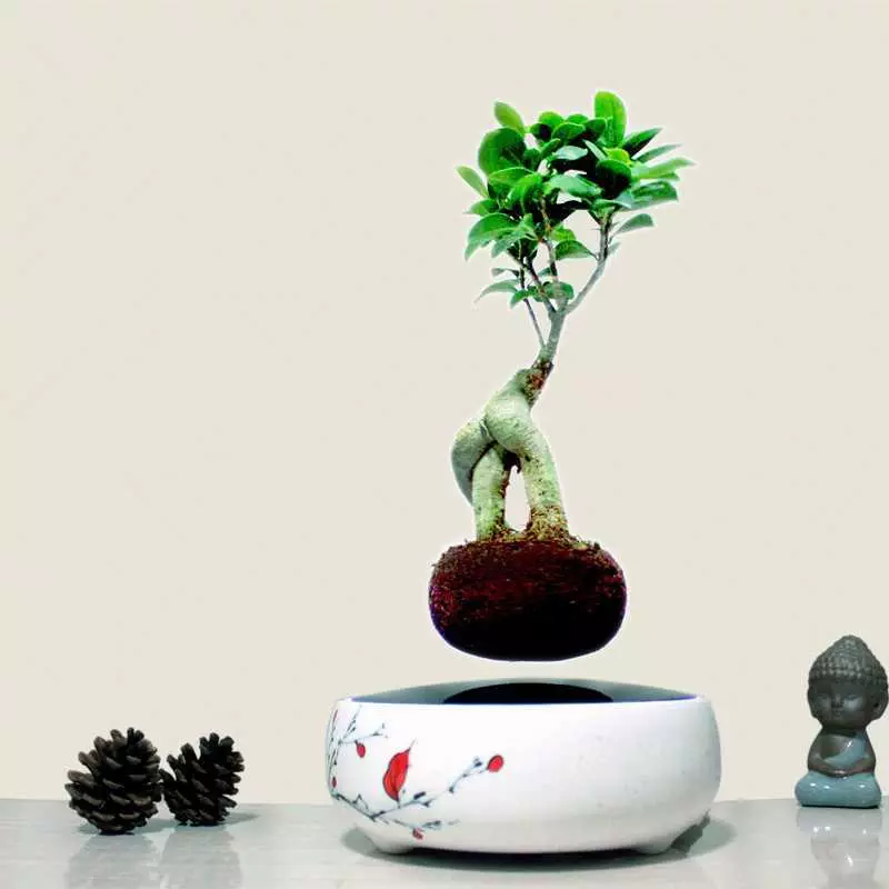 Air Bonsai Levitating Plant Pot Looks Awesome