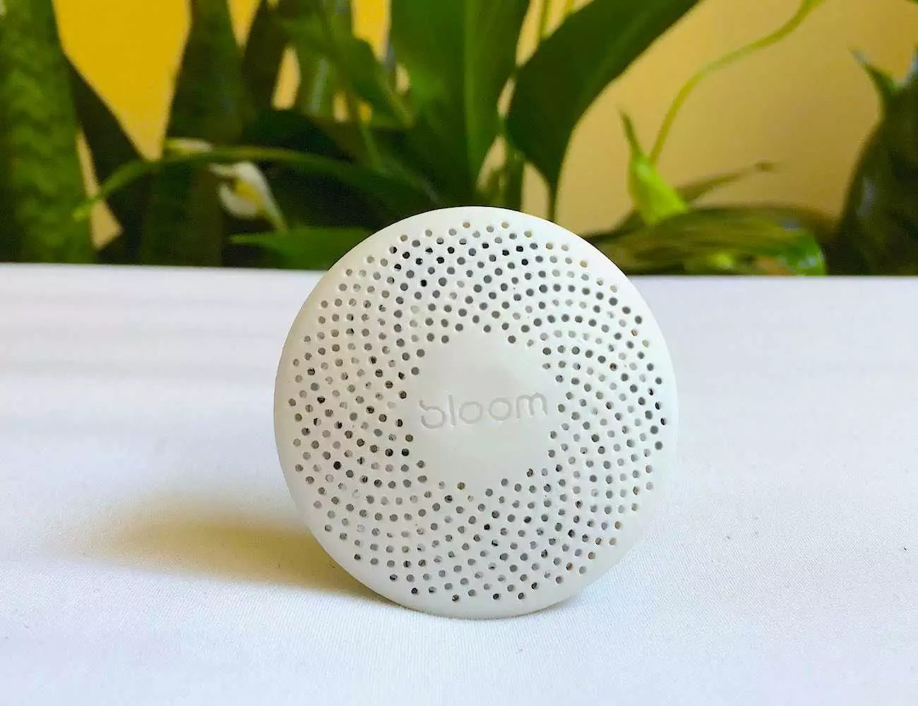 Close Up Shot Of The Bloom Portable Air Quality Monitor