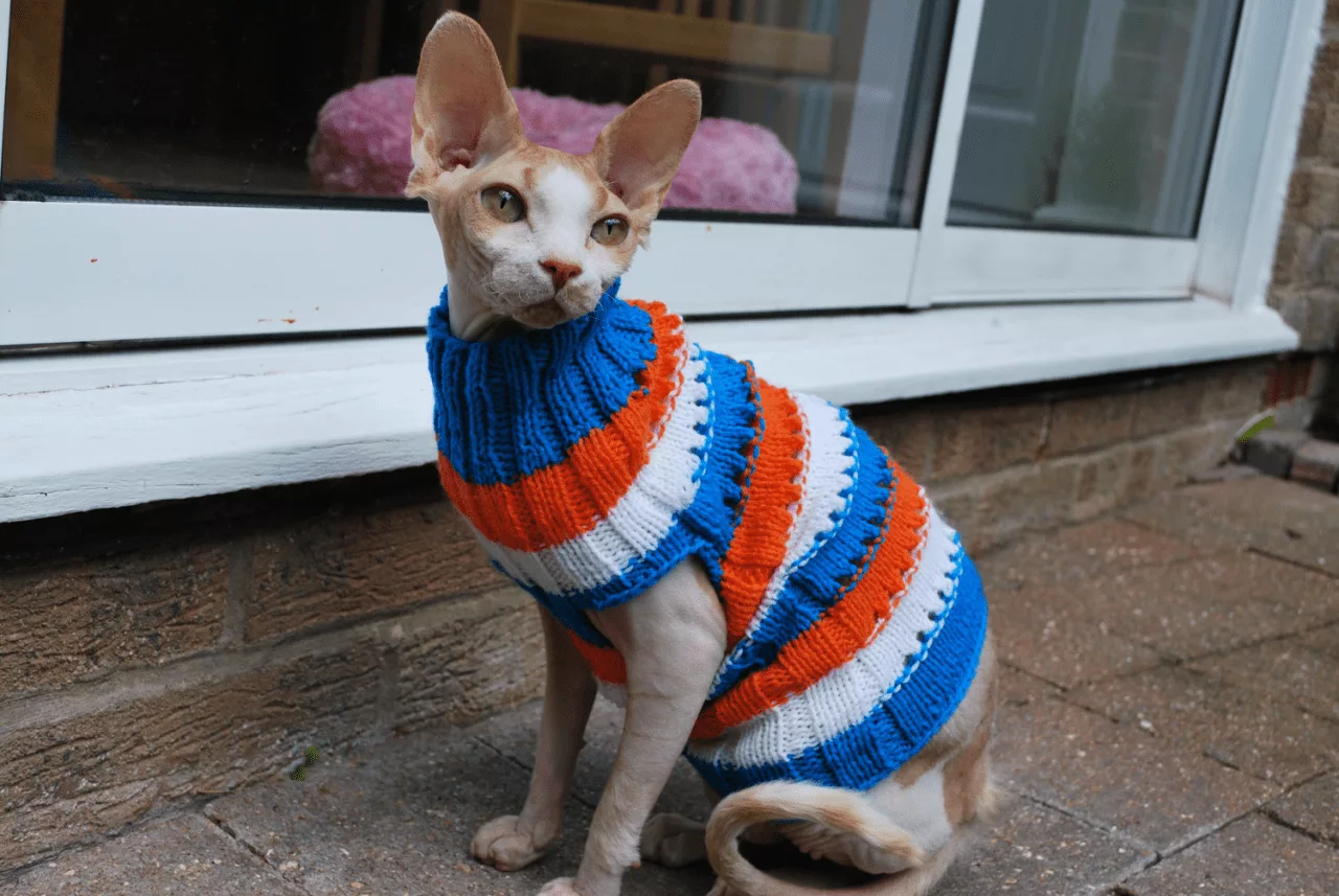 Animal Catsweaters