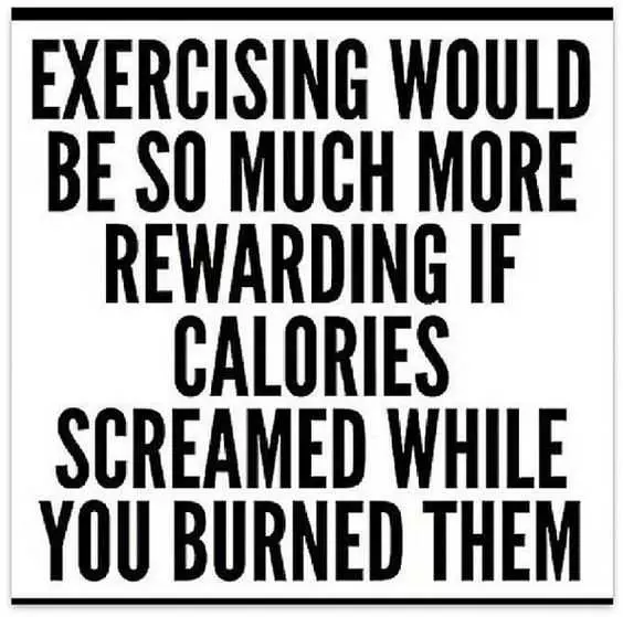 Funny Screamedcalories