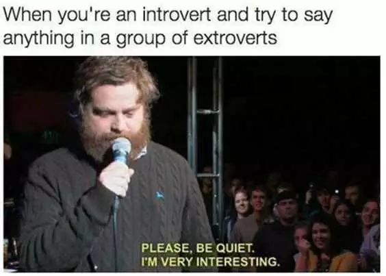 Introvert Interesting
