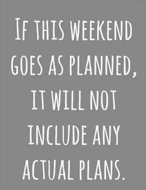 Introvert Plans