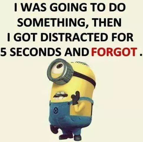 Minion Distracted