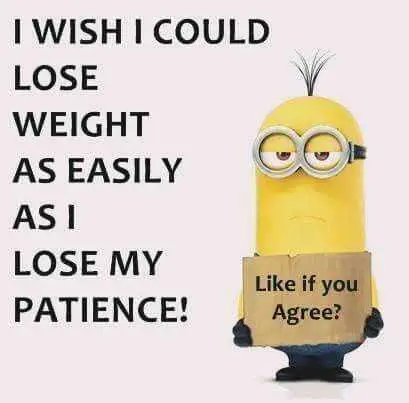 33 Of The Funniest Minion Quotes And Pictures 