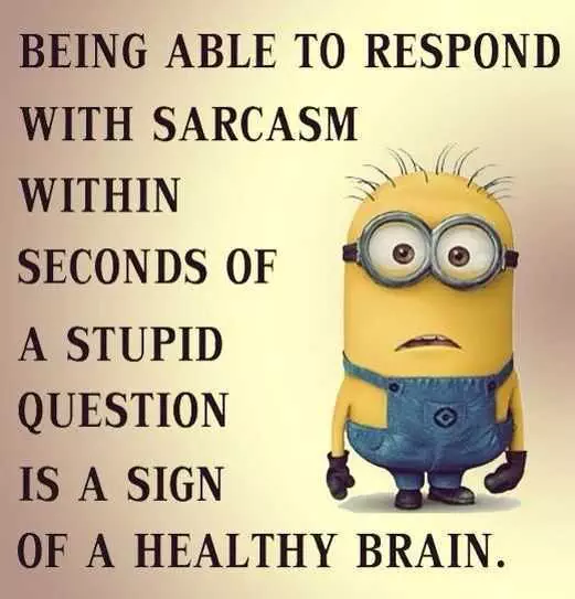Minions Sarcasm