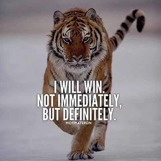 Quote Iwillwin
