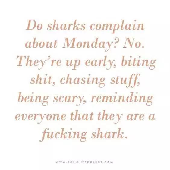 Quote Sharks