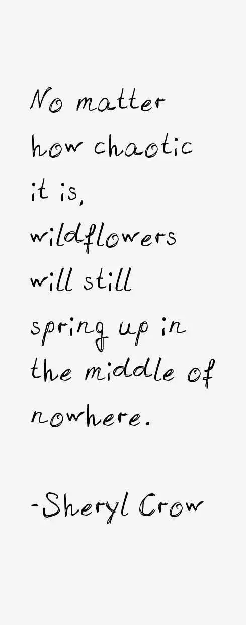 Quote Wildflowers