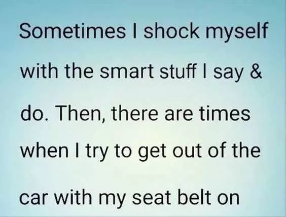 Quotes Seatbelt
