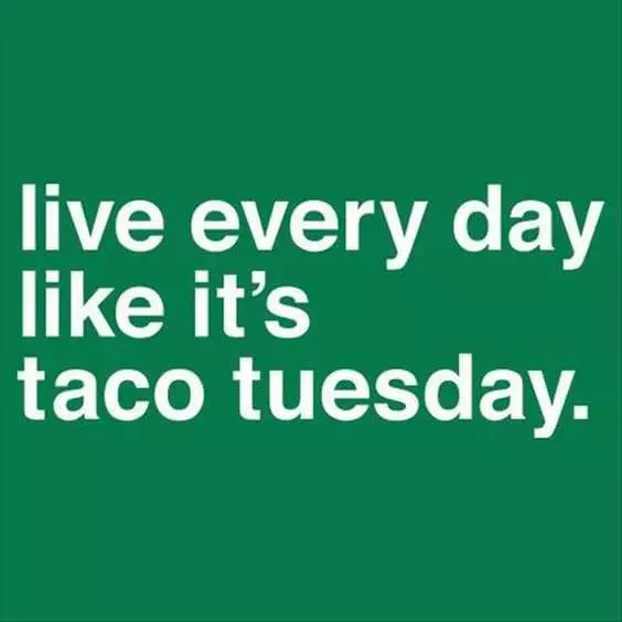 Taco Everyday