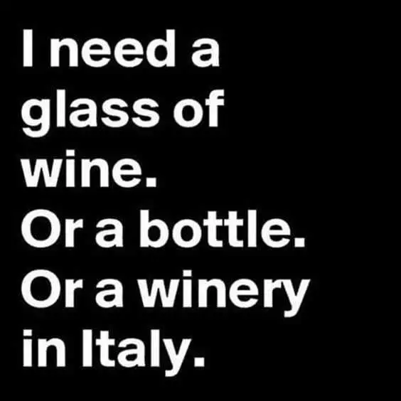 Wine Winery
